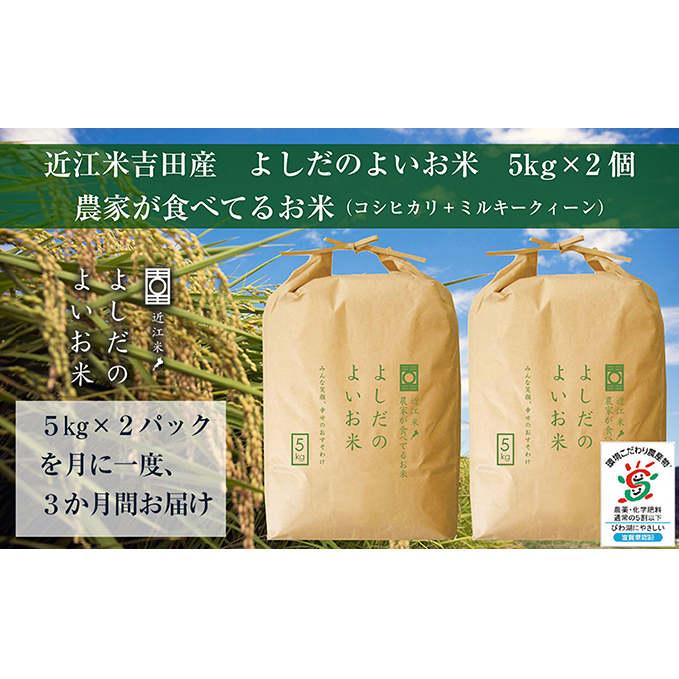 【定期便】令和6年産 よしだのよいお米 近江米農家が食べてるお米 10kg×3回 滋賀県豊郷町96000米・パン白米