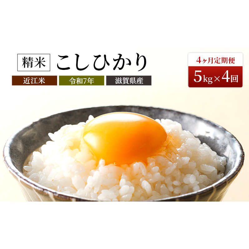 【定期便】令和7年産 豊かな郷の近江米(コシヒカリ)5kg×4ヶ月連続 お米 4回 箱入り 滋賀県豊郷町61000米・パン白米