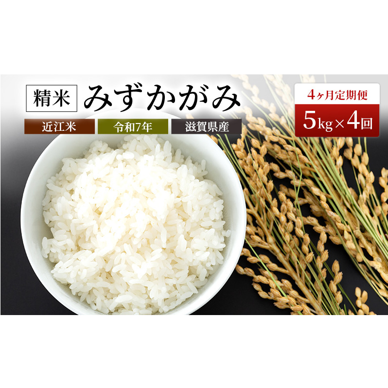 yցzߘa7NY@Lȋ̋ߍ]āi݂݁j5kg×4A  4  ꌧL61000āEp