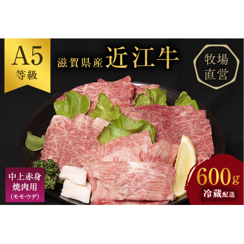 近江牛 焼肉 中上赤身焼肉用 約600g A5 雌牛 西川畜産 牛肉 黒毛和牛 焼き肉 焼肉用 バーベキュー 赤身 肉 お肉 牛 和牛 ブランド牛滋賀県豊郷町21000肉牛肉