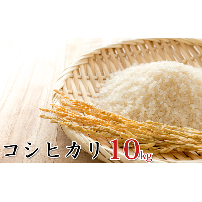 令和6年産環境こだわり近江米コシヒカリ10kg(無洗米) お米 滋賀県豊郷町22000米・パン白米