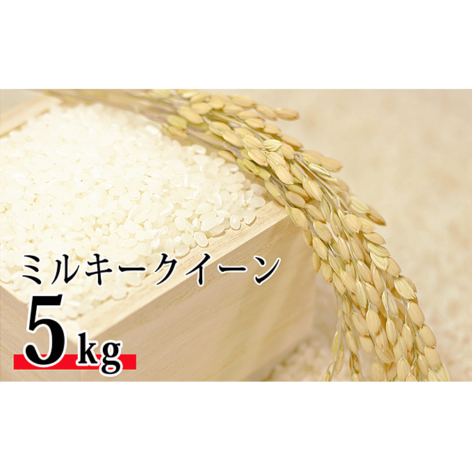 令和6年環境こだわり近江米ミルキークイーン5kg(無洗米) お米 滋賀県豊郷町12000米・パン白米