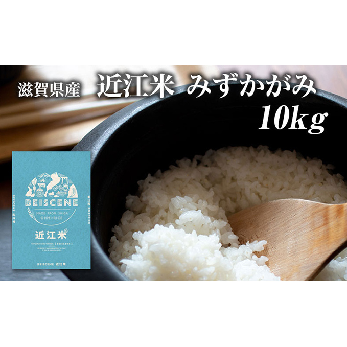 令和7年産新米 滋賀県豊郷町産 近江米 みずかがみ 10kg お米 滋賀県豊郷町36000米・パン白米