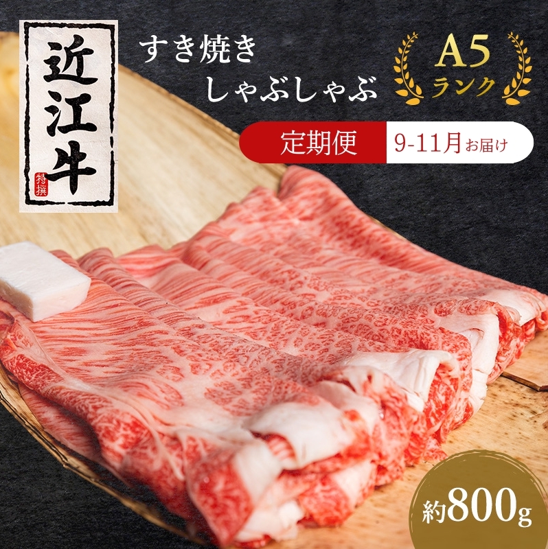 【肉の千石屋】【定期便:9〜11月お届け】3ヶ月連続お届け近江牛A5ランクすき焼き しゃぶしゃぶ約800g 肉 近江牛 牛肉 すき焼き しゃぶしゃぶ モモ 肩ロース ロース 和牛 国産 滋賀県滋賀県豊
