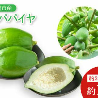 ys\zsB̐ppC_IppC 1kg y ₳  ʕ s 錧 5000~ȓziKBF-2j錧s6000؁Ê̑ 