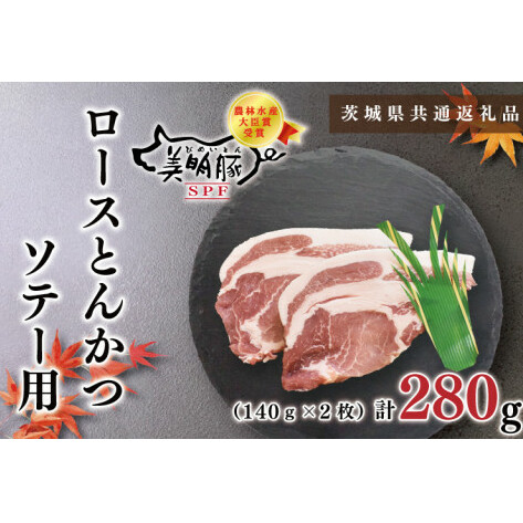 y錧ʕԗizy؁z[XƂ񂩂\e[p280gi140g×QjiKCK-13j錧s6000ؓ