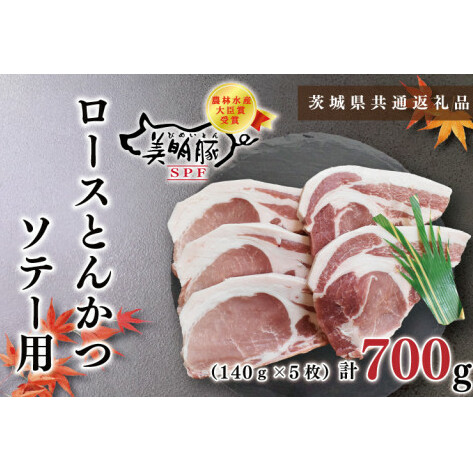 y錧ʕԗizy؁z[XƂ񂩂\e[p700gi140g×TjiKCK-14j錧s10000ؓ