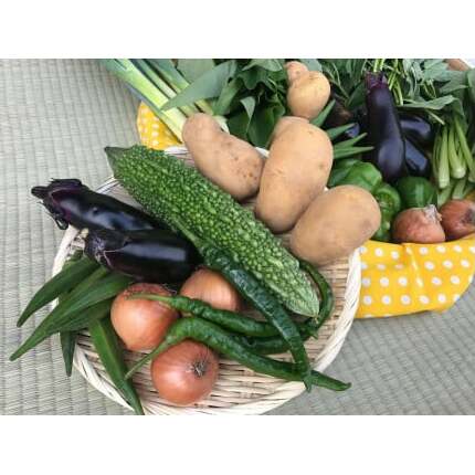 【栽培期間農薬不使用】季節の野菜ハーフセット12ヶ月定期便 KBE-25茨城県鹿嶋市130000野菜・きのこその他 野菜