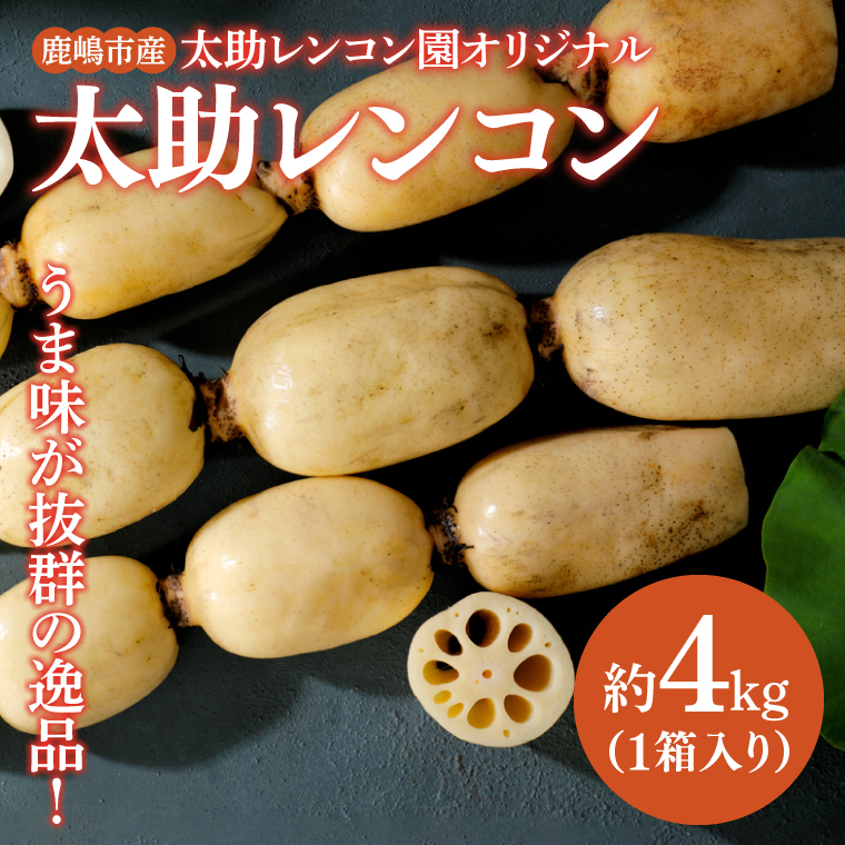 【先行予約】【奇跡のレンコン】鹿嶋市産レンコン 約4kg 【れんこん 根菜 蓮根 れん根 4キロ 20000円以内】(KBU-3)茨城県鹿嶋市19000野菜・きのこ大根・ニンジン・根菜類