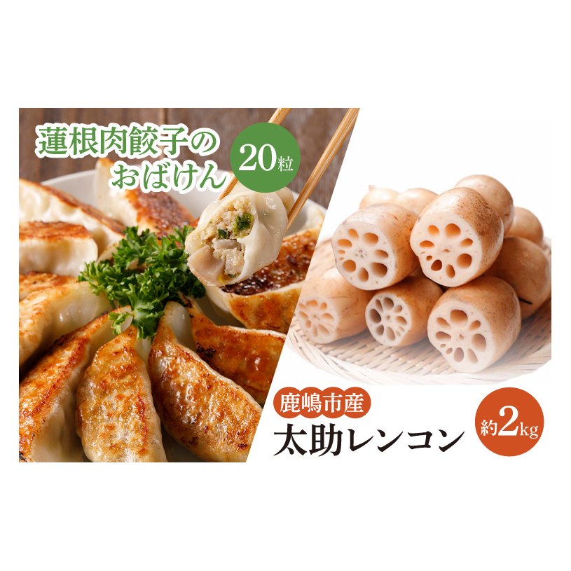 【先行予約】【セット販売】太助レンコン&蓮根肉餃子のおばけん 【2kg&20粒】【野菜 ギョーザ れんこん しゃきしゃき おいしい 食べきり 茨城県 鹿嶋市】(KBU-4)茨城県鹿嶋市18000野菜・き