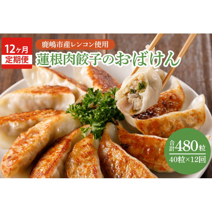 【12ヶ月定期便】蓮根肉餃子のおばけん【40粒×12回】【野菜 ギョーザ れんこん しゃきしゃき おいしい ストック 茨城県 鹿嶋市】(KBU-27)茨城県鹿嶋市156000鍋セット・総菜・加工食品その他