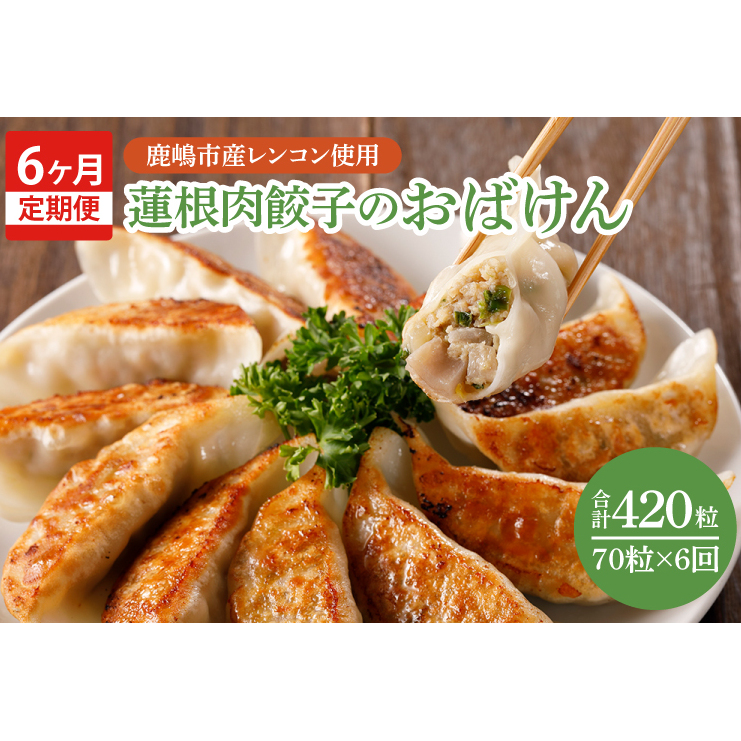 【6ヶ月定期便】蓮根肉餃子のおばけん【70粒×6回】【野菜 ギョーザ れんこん しゃきしゃき おいしい ストック 茨城県 鹿嶋市】(KBU-23)茨城県鹿嶋市66000鍋セット・総菜・加工食品その他