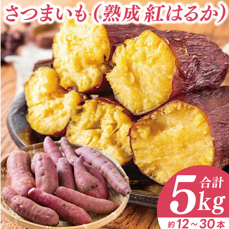 【先行予約】【訳あり 不揃い】完熟高糖度 さつまいも(紅はるか)約5kg(サイズ:2S〜L)【熟成 サツマイモ 焼き芋 訳あり 訳あり キュアリング 茨城県 鹿嶋市産】【2025年12月〜順次発送】