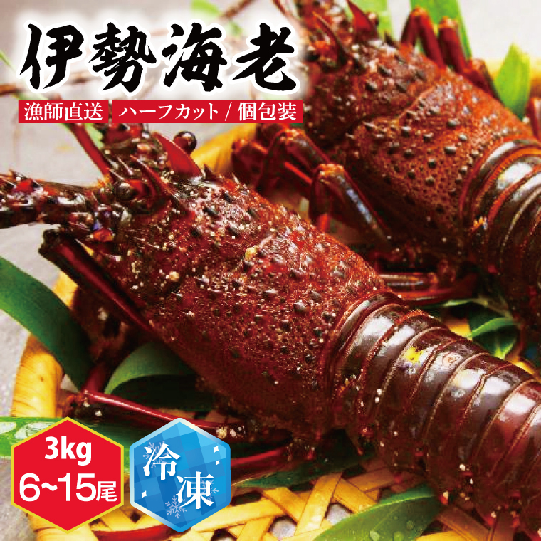 【漁師直送/活〆冷凍】伊勢海老(3kg/6〜15尾)(KBL-20)茨城県鹿嶋市101000魚介・海産物エビ