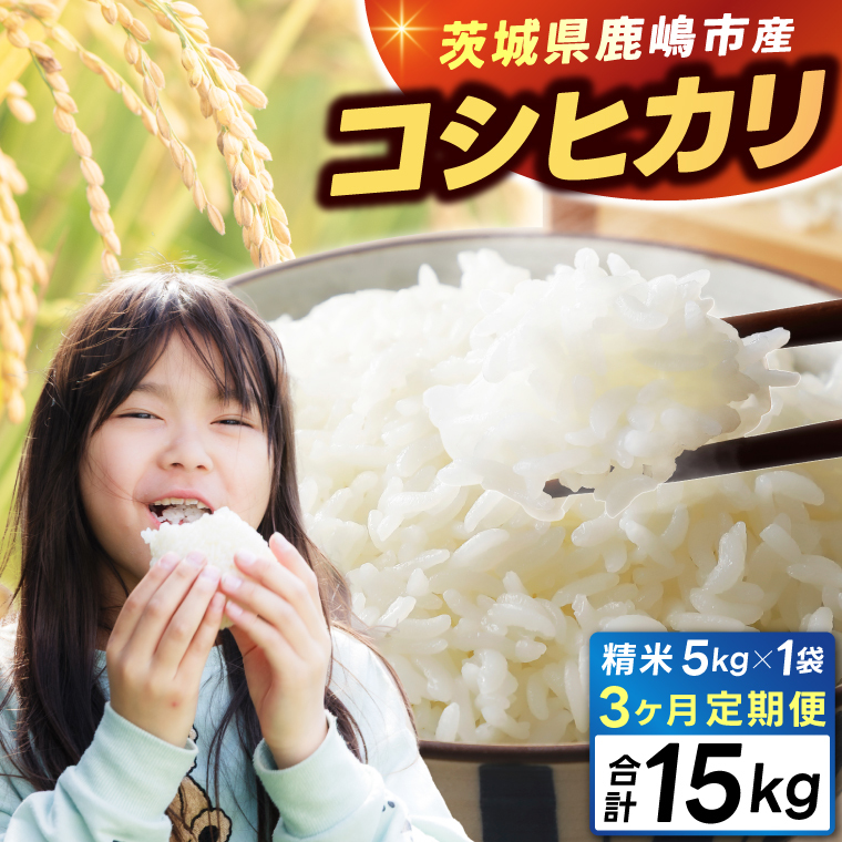 y3ցzV ߘa7N    5kg (v 15kg)uЂvs\ sYyߘa7NY RVqJ  R ͂ CX uh 錧 sz(KEJ-4)錧
