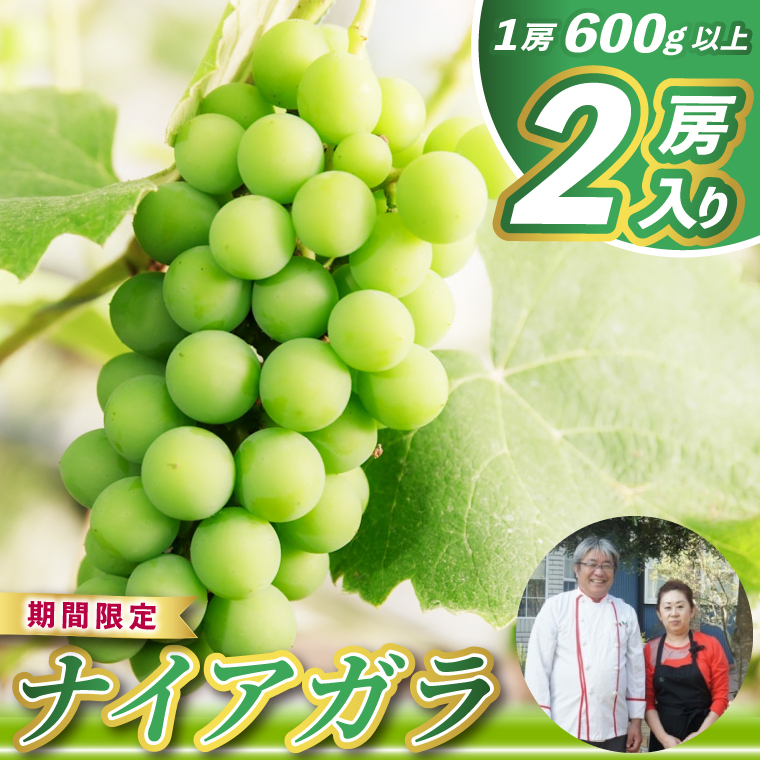 Xg̃vĂIsY ̂Ȃ́u荂viCAK2[ ys Ԃǂz(KAE-13)錧s8000ʕEt[c}XJbgEԂǂ