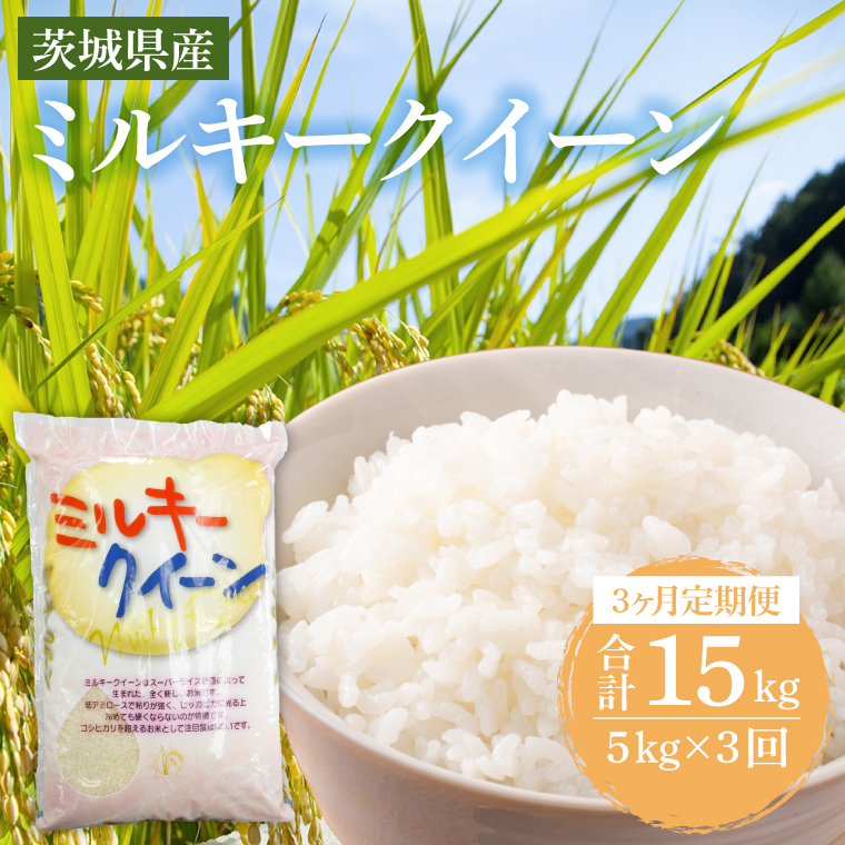 y3ցz錧Y~L[NC[ 5kg (5kg×1) y    ɂ 錧Y s Y z (KY-24)錧s57000āEp