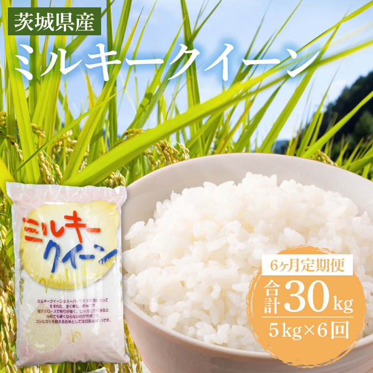 【6ヶ月定期便】茨城県産ミルキークイーン 5kg (5kg×1袋) 【米 お米 白米 精米 おにぎり 茨城県産 鹿嶋市 国産 】 (KY-25)茨城県鹿嶋市113000米・パン白米