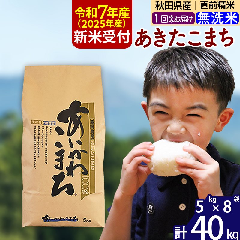 ※令和7年産 新米予約※秋田県産 あきたこまち 40kg【無洗米】(5kg小分け袋) 【1回のみお届け】2025年産 お届け時期選べる お米 藤岡農産秋田県北秋田市126000米・パン無洗米