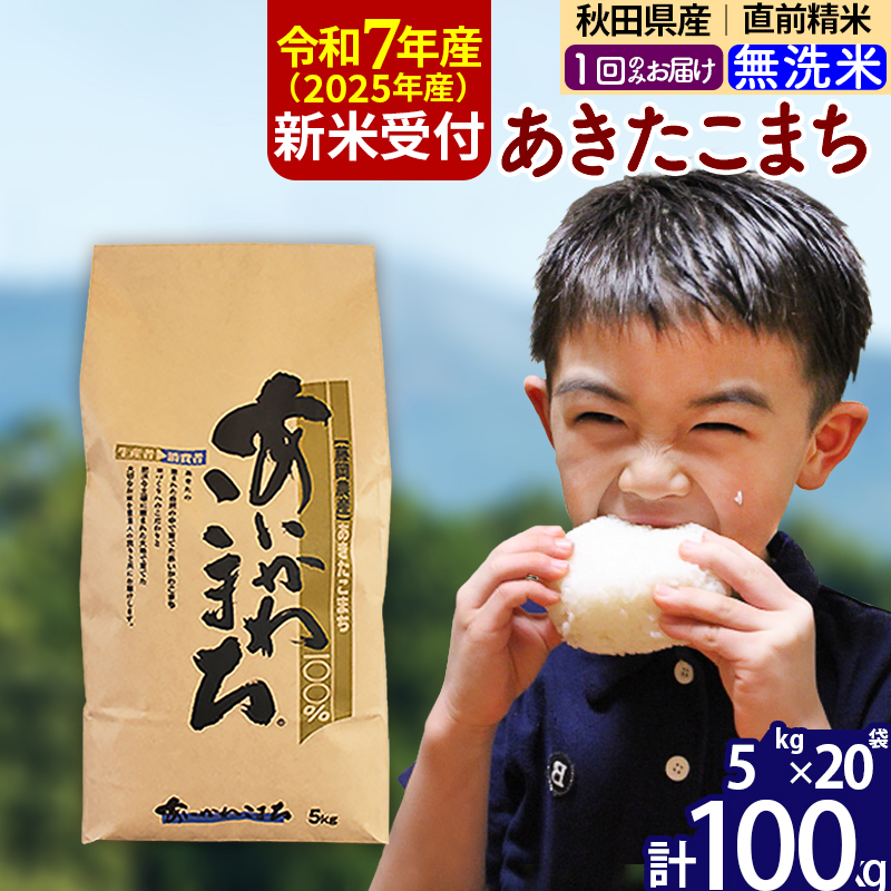 ※令和7年産 新米予約※秋田県産 あきたこまち 100kg【無洗米】(5kg小分け袋) 【1回のみお届け】2025年産 お届け時期選べる お米 藤岡農産秋田県北秋田市313000米・パン無洗米
