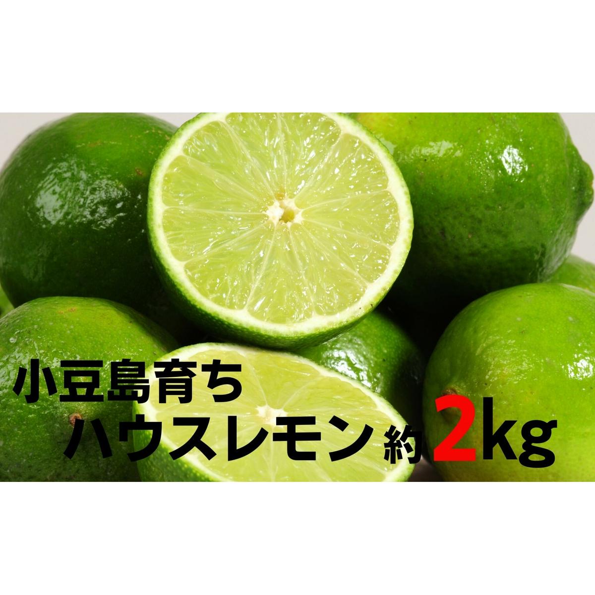 【 小豆島 】小豆島ハウスレモン 約2kg 果物類 フルーツ 柑橘類 檸檬 香川県土庄町13000果物・フルーツみかん・柑橘類