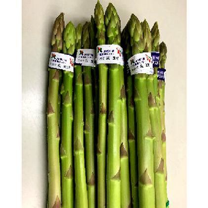 【 小豆島 】香川のアスパラ【さぬきのめざめ】春芽 約1kg アスパラガス 野菜 香川県土庄町12000野菜・きのこその他 野菜