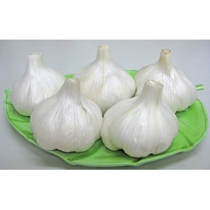 【 小豆島 】島育ち!乾燥にんにく 約1.5kg 野菜 根菜 香川県土庄町17000野菜・きのこ大根・ニンジン・根菜類