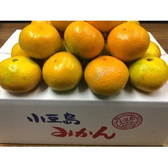 【 小豆島 】小豆島 ゆら早生みかん 約5kg みかん 蜜柑 ミカン ゆら早生 フルーツ 果物 くだもの 国産 香川 香川県 土庄 土庄町香川県土庄町13000果物・フルーツみかん・柑橘類