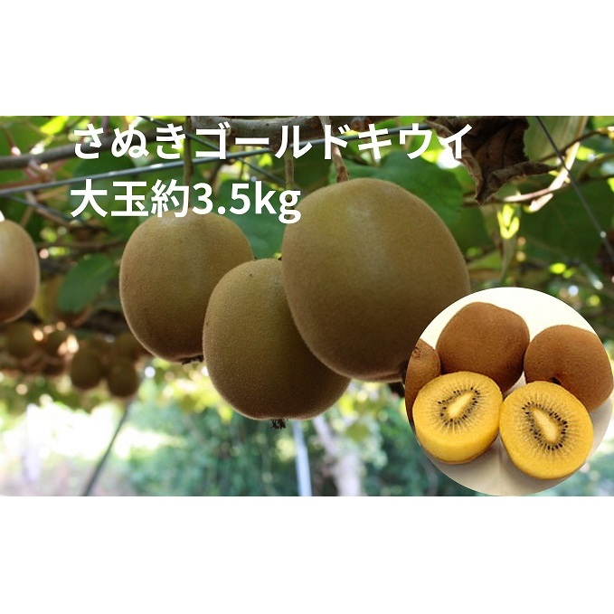 ʂS[hLEC@ʖ3.5kg ʕl t[c 쌧y24000ʕEt[c̑ ʕEt[c