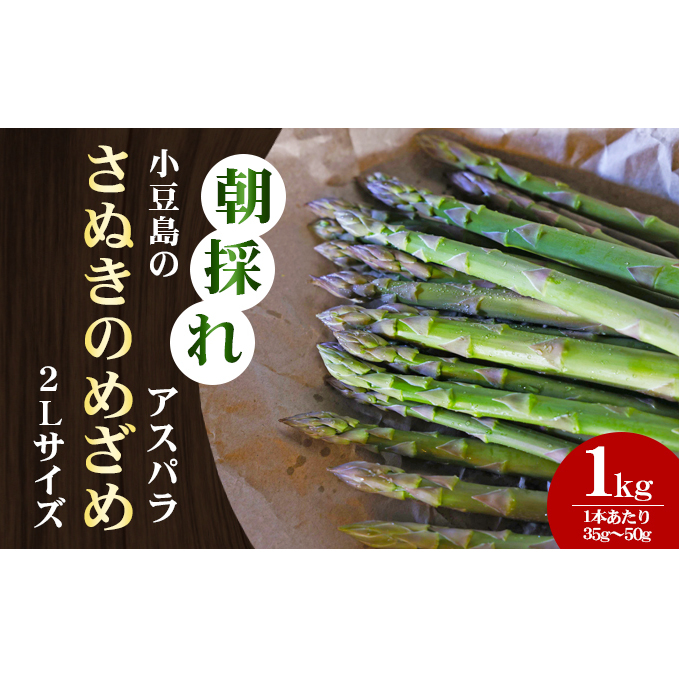 【 小豆島 】【 先行予約 】小豆島の朝採れアスパラ 『さぬきのめざめ』2Lサイズ1kg(2月中旬〜5月中旬出荷) 朝採れ アスパラ アスパラガス さぬきのめざめ 野菜 やさい 香川 香川県 土庄