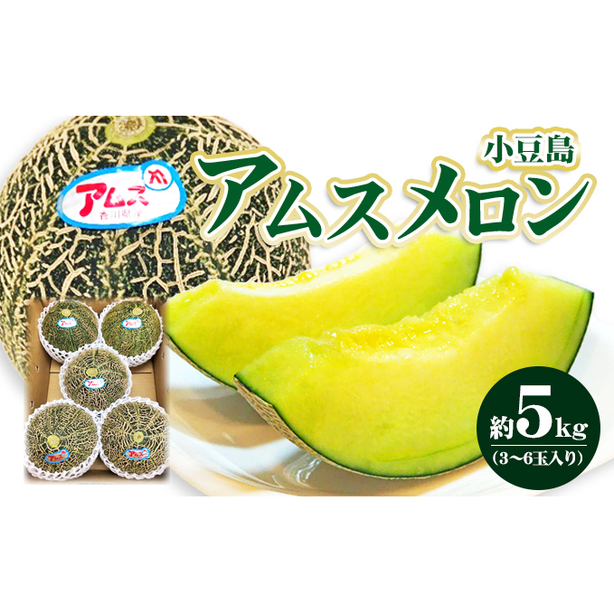【 小豆島 】小豆島 アムスメロン 約5kg 果物 フルーツ メロン めろん くだもの 国産 香川 香川県 土庄 土庄町香川県土庄町18000果物・フルーツメロン・スイカ