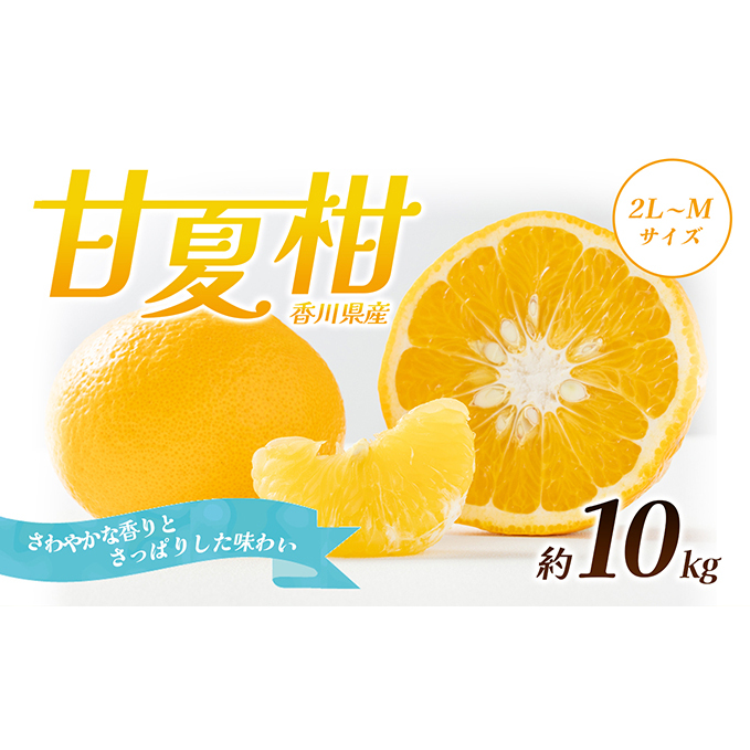 【 小豆島 】 甘夏柑 約10kg 柑橘 あまなつかん 果物 フルーツ 爽やか さっぱり くだもの 国産 香川 香川県 土庄 土庄町 香川県土庄町16000果物・フルーツ