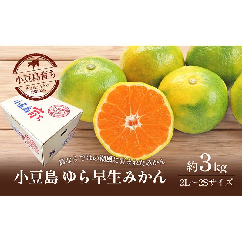 【 小豆島 】小豆島 ゆら早生みかん 約3kg 柑橘 みかん ミカン 果物 フルーツ ゆら早生 ジューシー くだもの 国産 香川 香川県 土庄 土庄町香川県土庄町8000果物・フルーツみかん・柑橘類