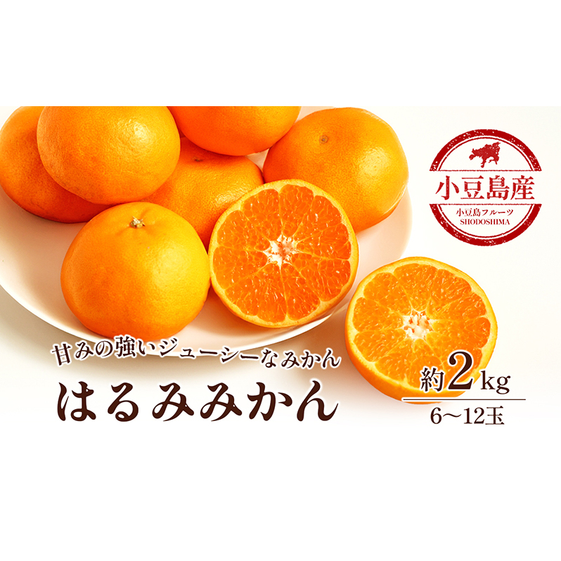 【 小豆島 】小豆島 はるみみかん 約2kg 蜜柑 みかん ミカン はるみ 果物 フルーツ 国産 くだもの 国産 香川 香川県 土庄 土庄町香川県土庄町8000果物・フルーツみかん・柑橘類