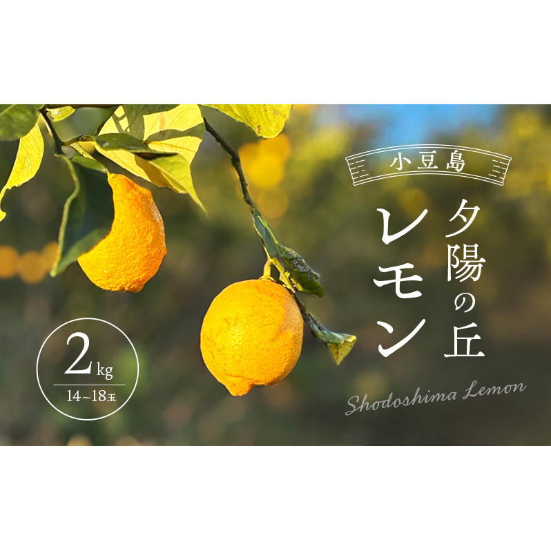 小豆島 夕陽の丘 レモン 2kg (14〜18玉) 果物 フルーツ 柑橘 香川 土庄町香川県土庄町9000果物・フルーツみかん・柑橘類