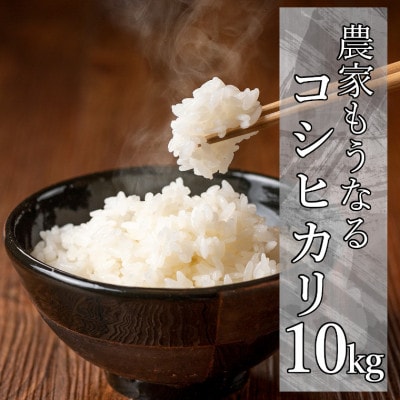 【令和6年産】農家もうなる おりもと農園のコシヒカリ10kg(5kg×2袋)【1389818】千葉県いすみ市13000米・パン白米