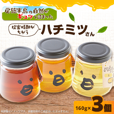 いすみ市の『ハチミツさん』160g×3個【1391526】千葉県いすみ市12000鍋セット・総菜・加工食品ジャム・はちみつ