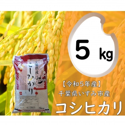 【令和5年産】 関東一早場米産地 千葉県いすみ市産 コシヒカリ精米5kg【1445864】千葉県いすみ市10000米・パン白米