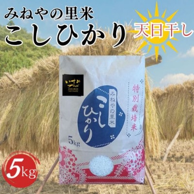【数量限定】令和7年産 みねやの里米 こしひかり(精米) 5Kg【1459711】千葉県いすみ市20000米・パン白米