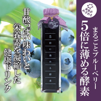 5倍に薄める酵素・まるごとブルーベリー【配送不可地域:離島】【1500617】千葉県いすみ市50000お茶・飲料果汁・野菜飲料