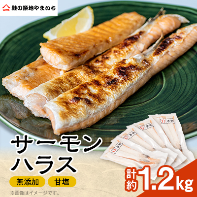 Y ÉT[nX 1.2kg[300g×4pbN]yzsnFzy1514247ztݎs12000ECYN