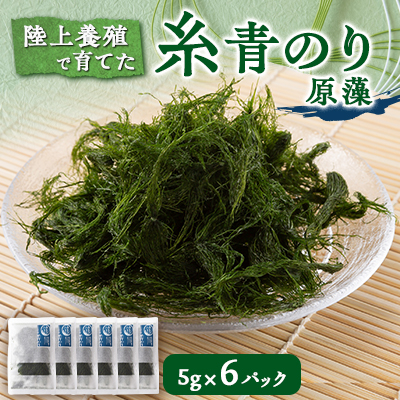 陸上養殖あおのり(原藻) 5g×6パック【1542686】千葉県いすみ市11000魚介・海産物のり・海藻