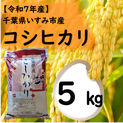 【令和7年産米】 千葉県いすみ市産 コシヒカリ精米5kg【1546630】千葉県いすみ市14000米・パン白米