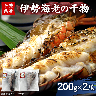 伊勢海老の干物200g×2尾【配送不可地域:離島】【1607616】千葉県いすみ市16000魚介・海産物干物