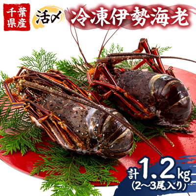 活〆冷凍伊勢海老 1.2kg【配送不可地域:離島】【1607919】千葉県いすみ市25000魚介・海産物エビ