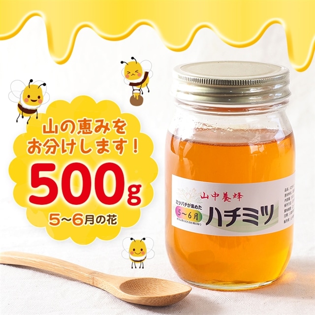 Q-7z 【自然のまま】富津産ハチミツ500g(5〜6月の花)千葉県富津市11000鍋セット・総菜・加工食品ジャム・はちみつ