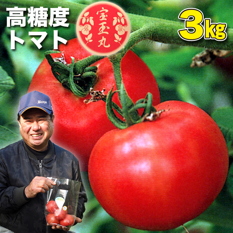 AA-9z 【朝どり直送】高糖度トマト「宝玉丸」3kg千葉県富津市14000野菜・きのこトマト