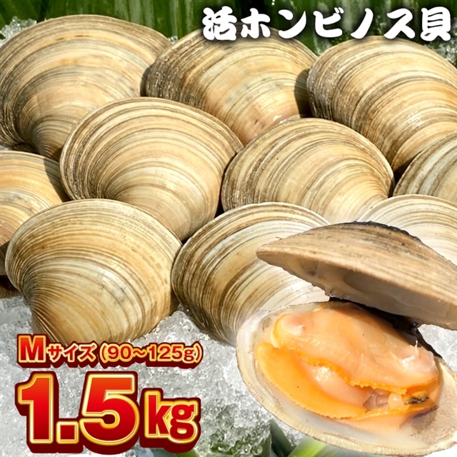 専門魚貝料理大事典　5冊セット 専門魚貝料理大事典 5冊セット｜Yahoo!フリマ（旧PayPayフリマ）