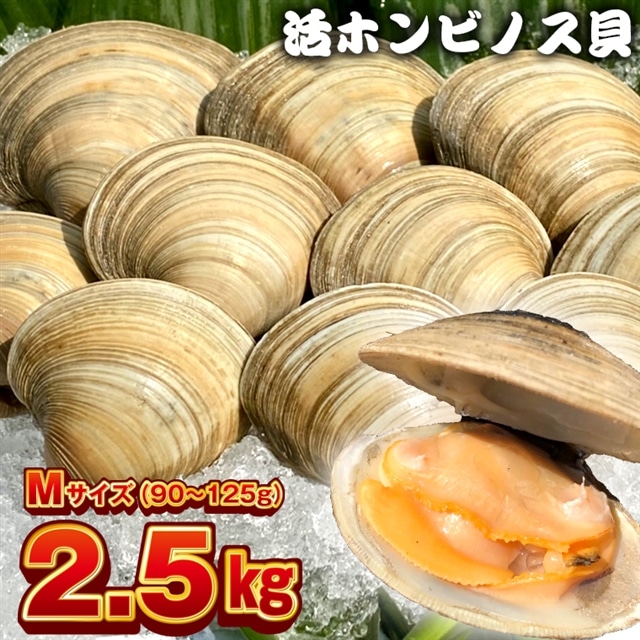 BK-7Mez 漁師直送!活ホンビノス貝2.5kg(Mサイズ)千葉県富津市17000魚介・海産物貝類