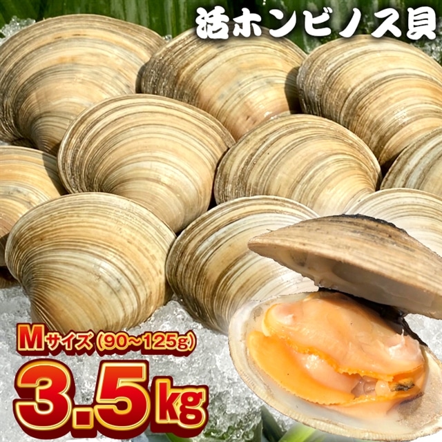 BK-8Mez 漁師直送!活ホンビノス貝3.5kg(Mサイズ)千葉県富津市22000魚介・海産物その他 魚介・海産物